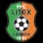 Litex logo