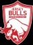 Jersey Bulls logo