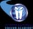 I2I International Soccer Academy W logo