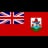 Bermuda logo