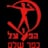 Hapoel Kfar Shalem logo