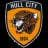 Hull City logo