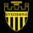 Bukovyna logo