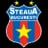 CSA Steaua Bucureşti logo