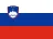 Slovenia flag