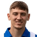 Joe Grey