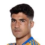 Nicolás Ibáñez