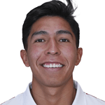 V. Arteaga