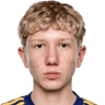 Luca Moisa