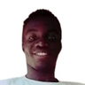 N. Victor