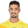 M. Al Shamsi