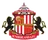 Sunderland U21 logo