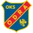 Odra Opole logo