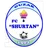 Shortan logo