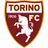 Torino logo