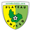 Plateau United logo