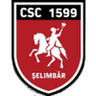 Viitorul Şelimbăr