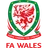 Wales U21 logo